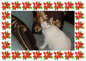 merry